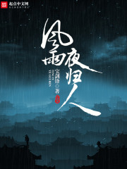 風雨夜歸人